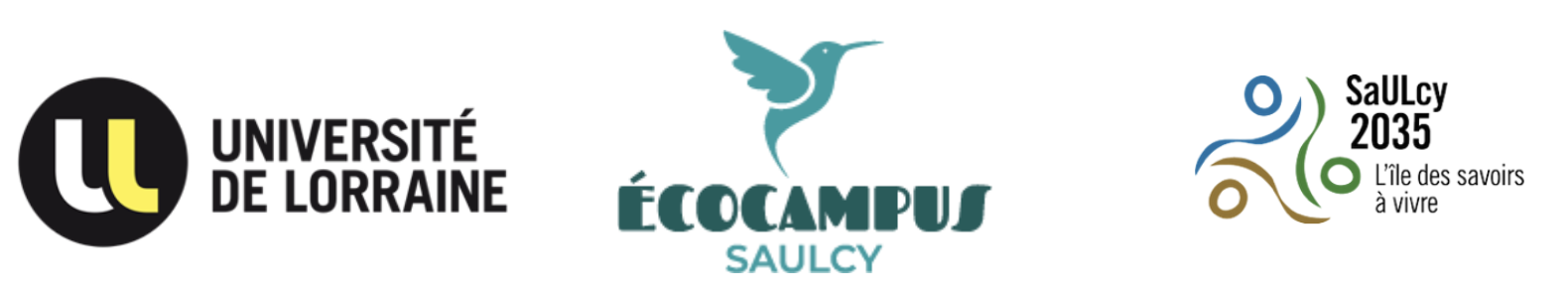 logo vide-greniers saulcy